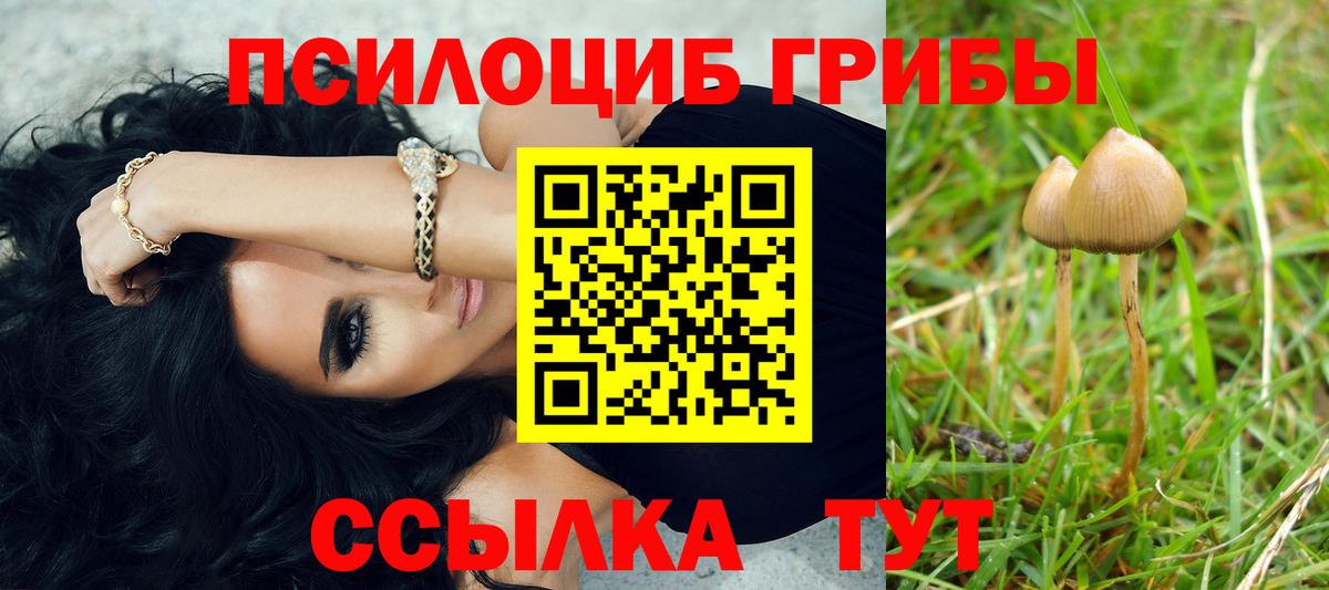 Галлюциногенные грибы мицелий  Вход с VPN  Большой Камень  Галлюциногенные грибы мухоморы 